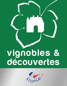 vignoble decouvertes